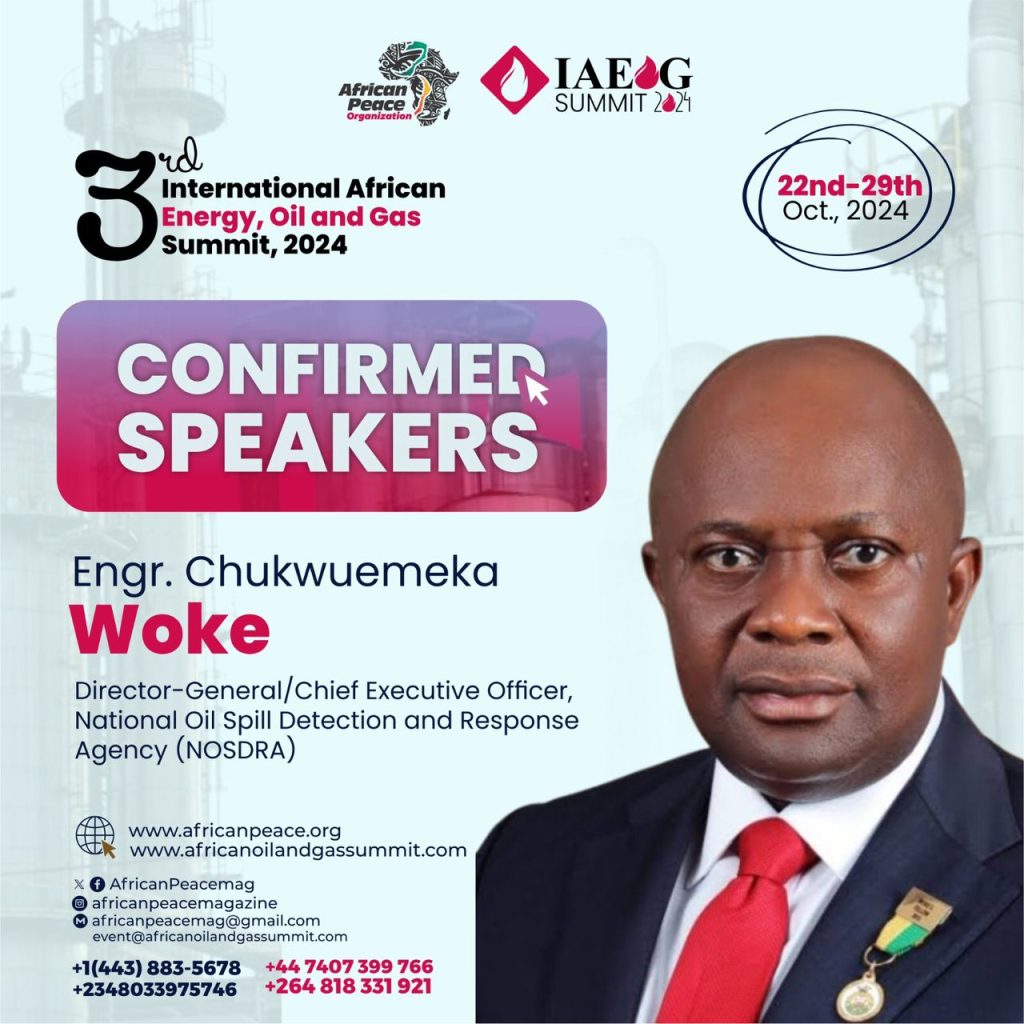 Engr Chukwuemaka Woke