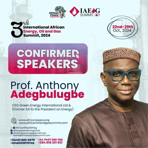 Prof Anthony Adegbulugbe